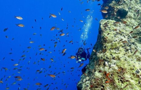 Amorgos Diving Center